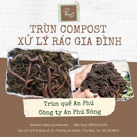Trùn compost xứ lý rác