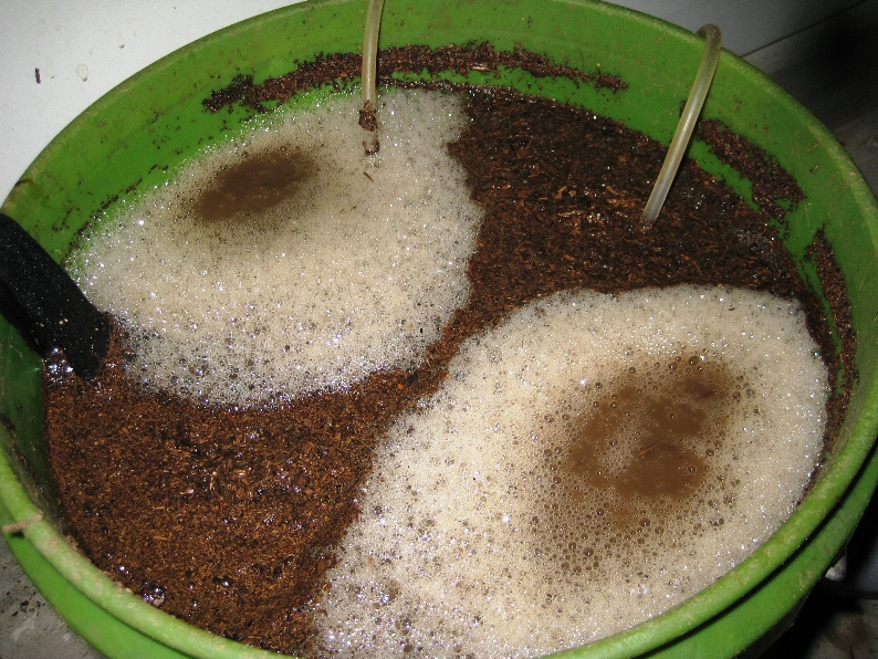 Cách làm phân bón nước worm tea