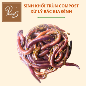 Sinh khối trùn compost xử lý rác